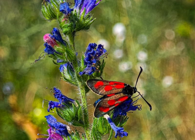 Фото Сергея Гибкова