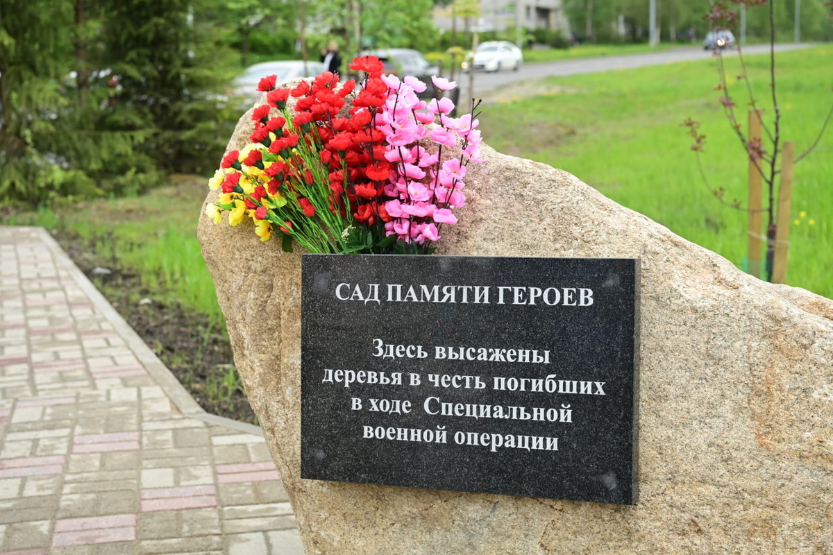    Сад Памяти Героев в Петрозаводске. Фото: "Республика"/ Сергей Юдин