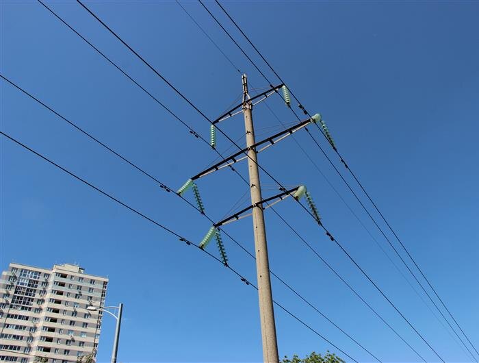    Фото: Волга Ньюс