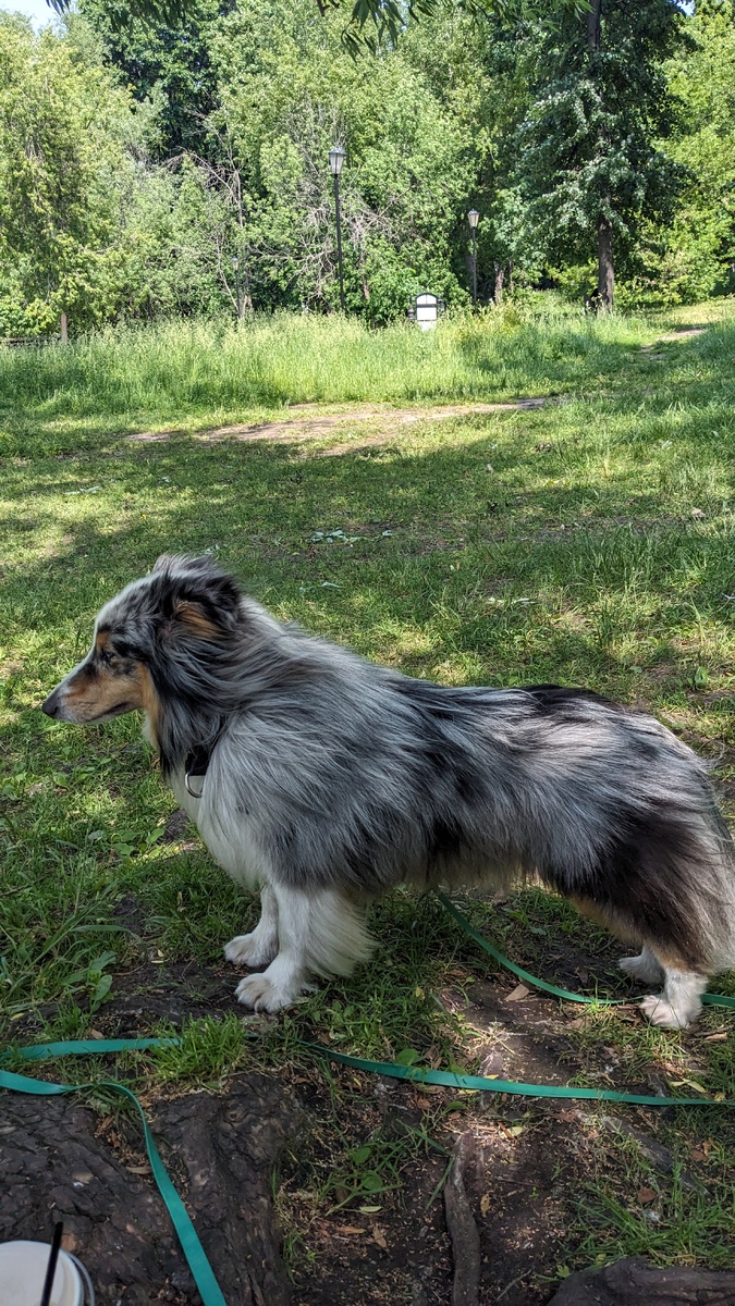 Стойка то какая ❤️