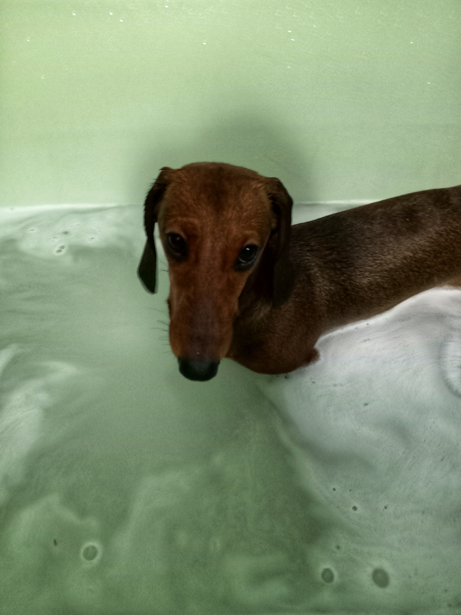 Не теряю надежды спастись