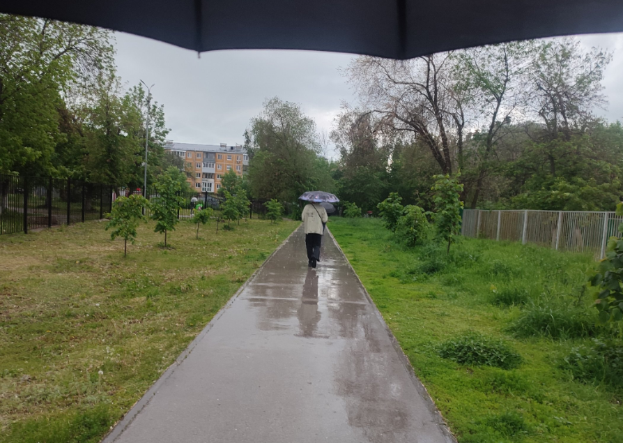    Екатерина Елисеева