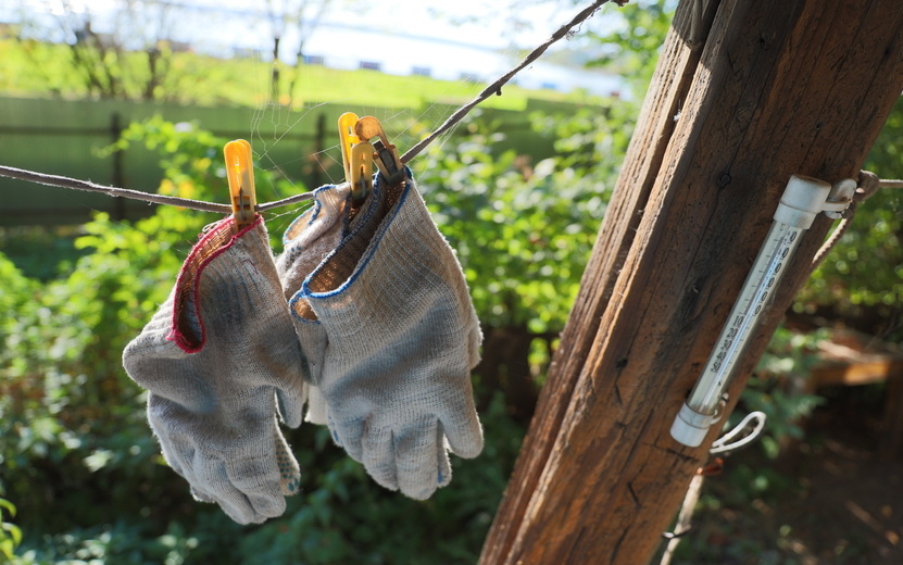    В России опровергли слухи о запрете сплошных заборов на дачах