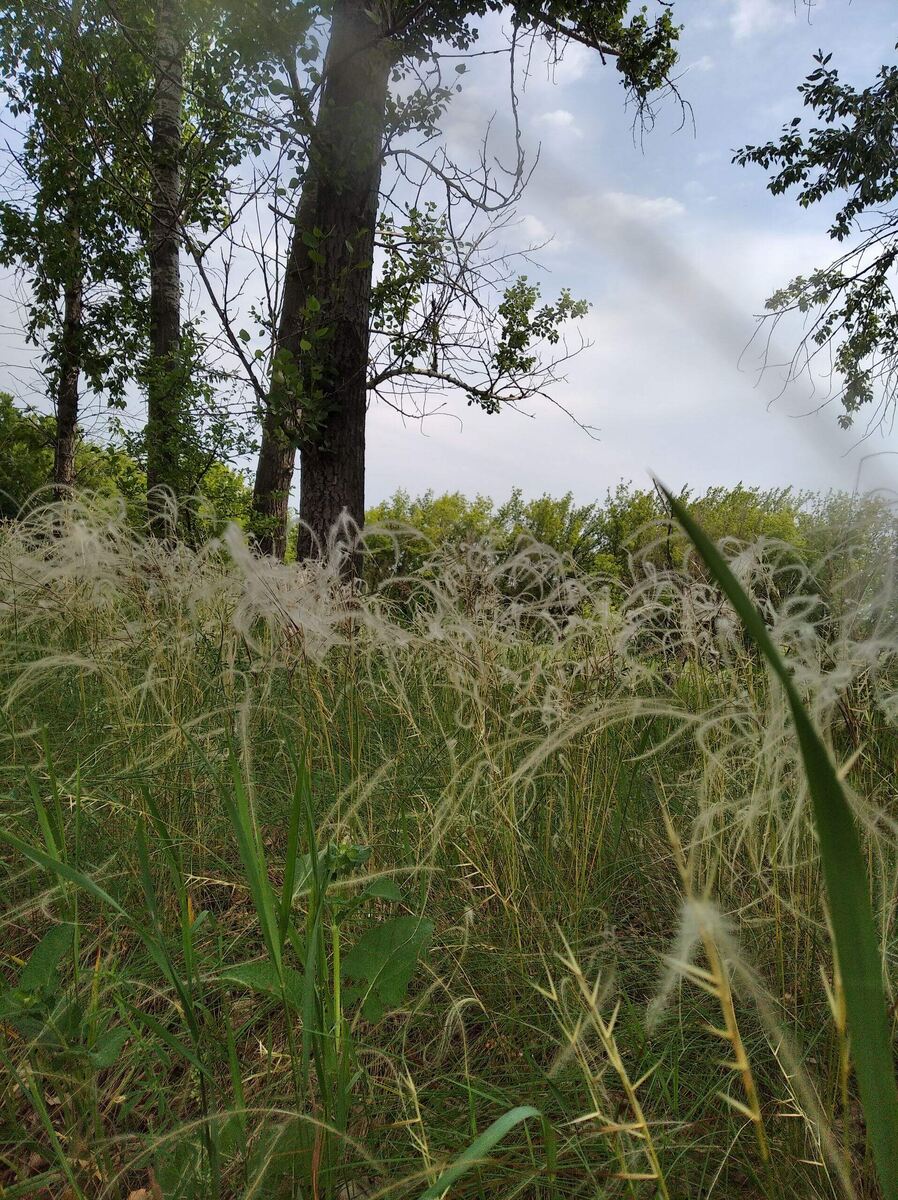 Ну красиво же!!!