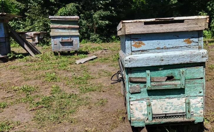    фото Курские известия