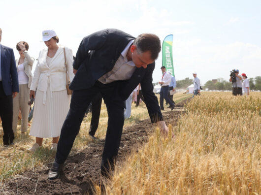    Юрий Слюсарь в поле // фото: donland.ru