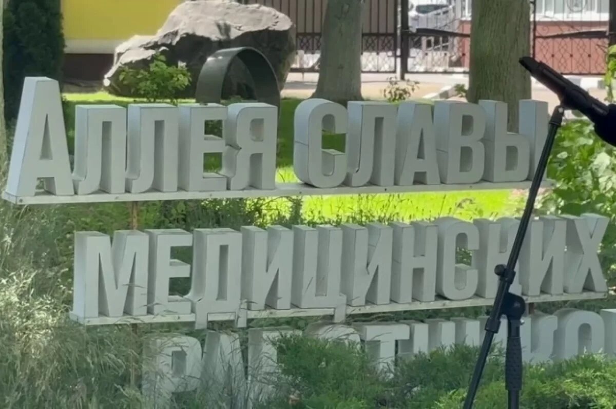    В Белгороде на Аллее Славы медработников появилось 6 новых имён