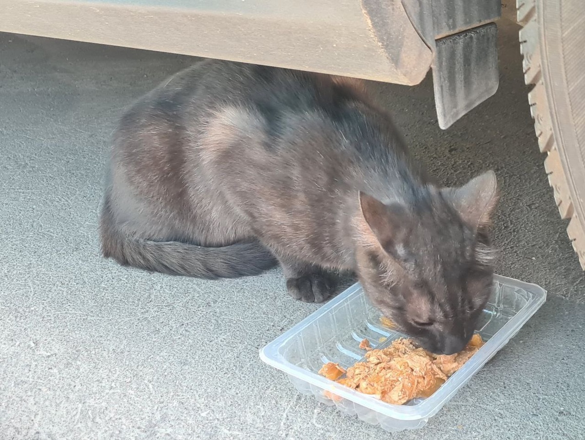 Очень красивый