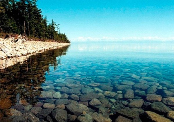 Фото из интернета 