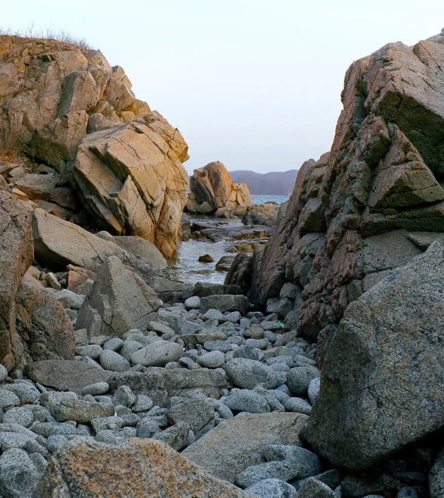Заповедник создан для сохранения наиболее богатой по составу прибрежной флоры и фауны, а также экосистем моря и островов. Летом в теплые прогретые воды залива приплывают такие виды как акула-молот, муренощука, летучие рыбы, ставрида-алектис, большая корифена, восточный синеперый тунец, рыба-меч.
