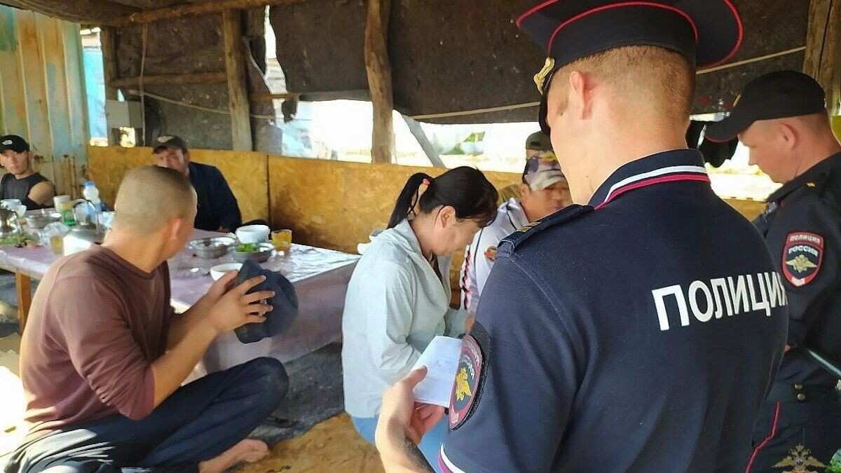     Источник: ГУ МВД России по Волгоградской области