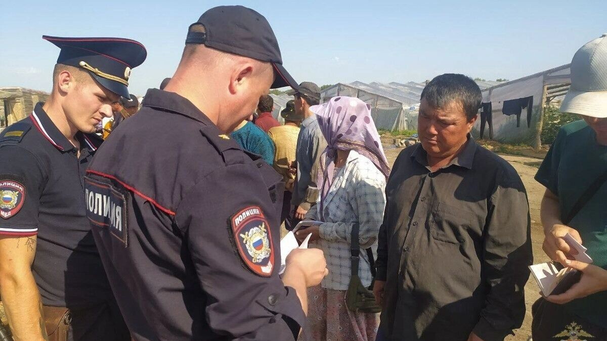     Источник: ГУ МВД России по Волгоградской области