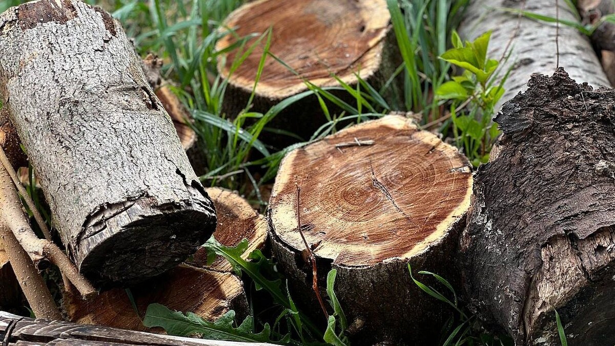    Фото: телеканал «Краснодар»