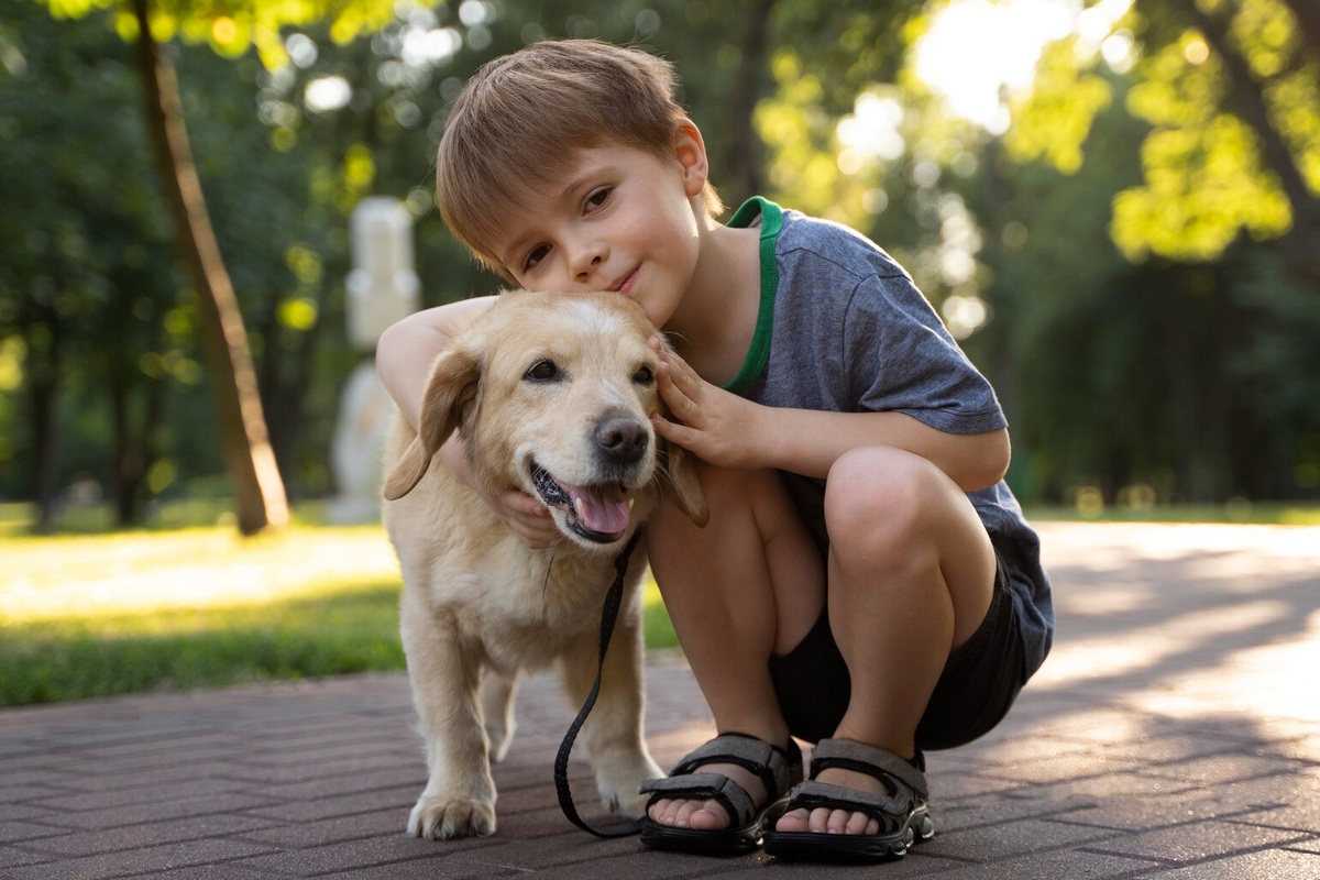     Как определить, сколько лет вашей собаке по человеческим меркам: спросили у кинолога