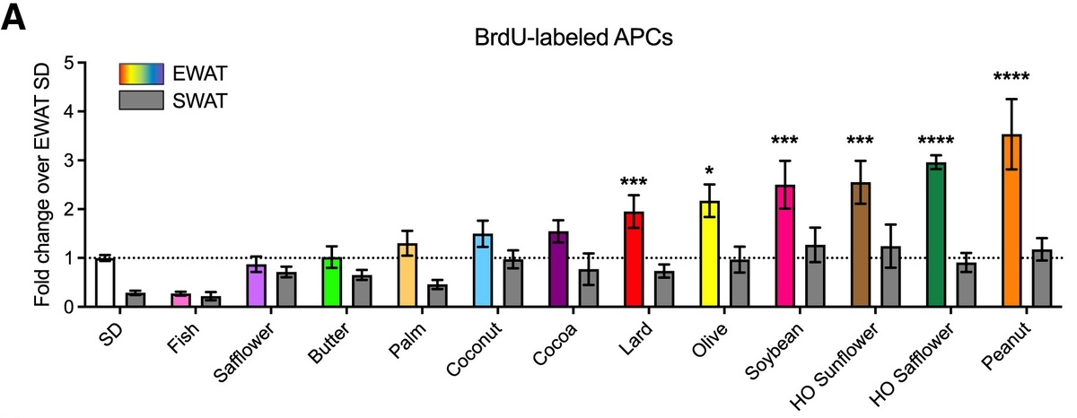   Wing et. al / Cell Reports, 2025