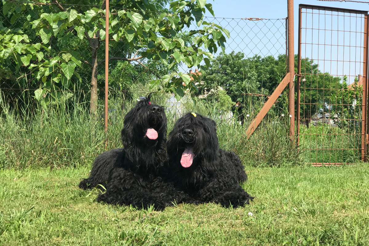 Фото: Shutterstock