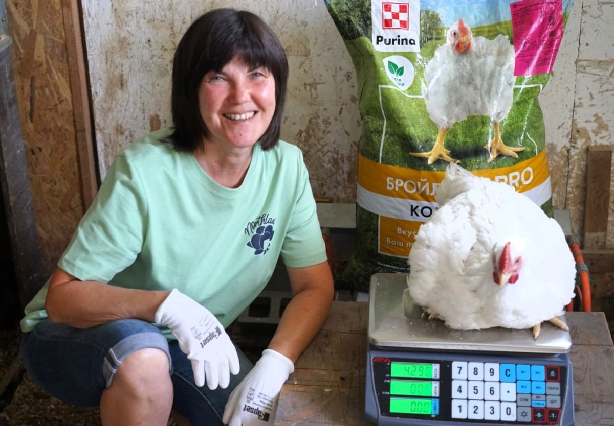 С любовью и заботой — бройлер весом свыше 4 кг на корме Purina