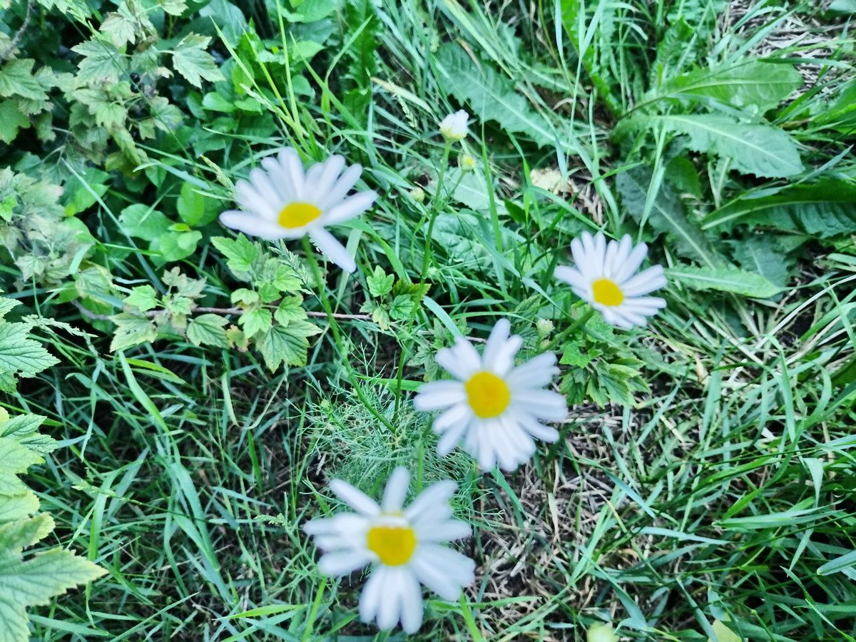 Фото автора.