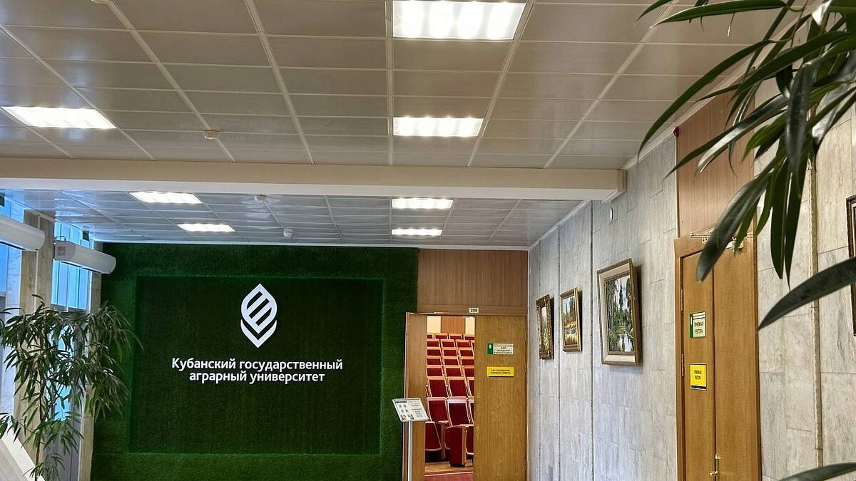    Фото: телеканал «Краснодар»