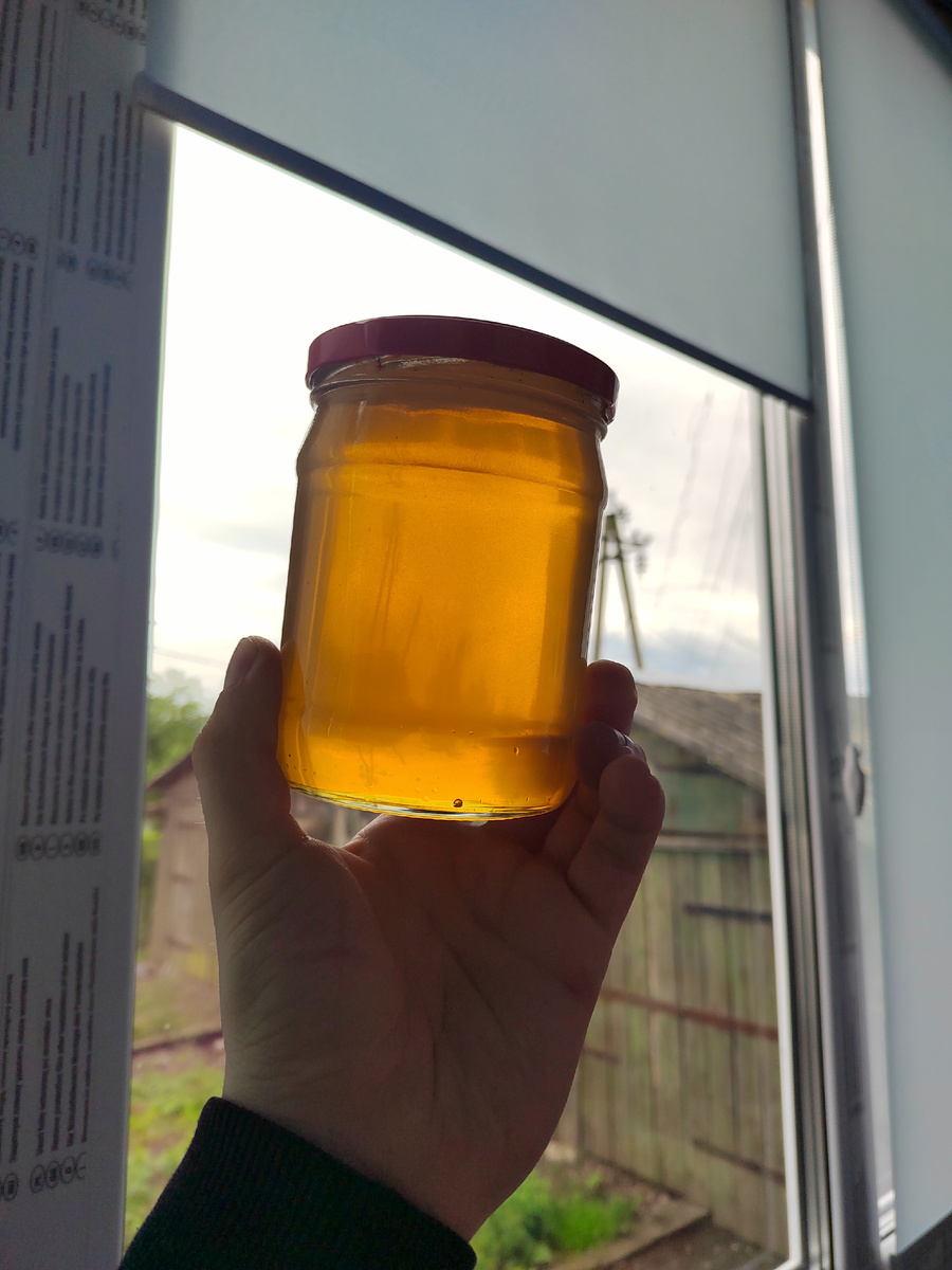 Первый мед 2025