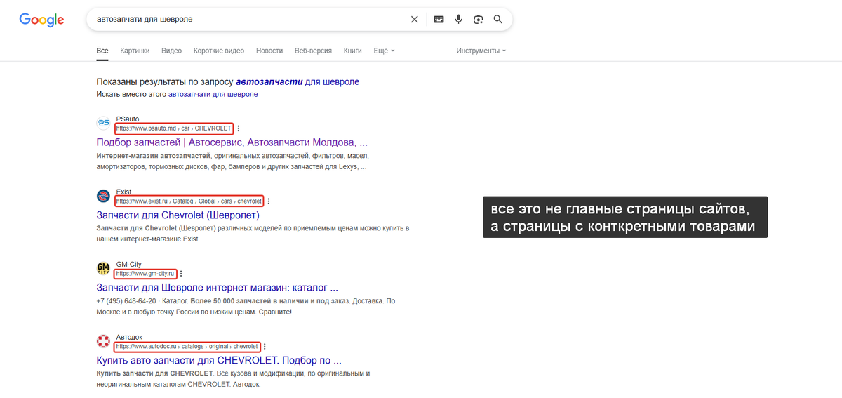 пример выдачи