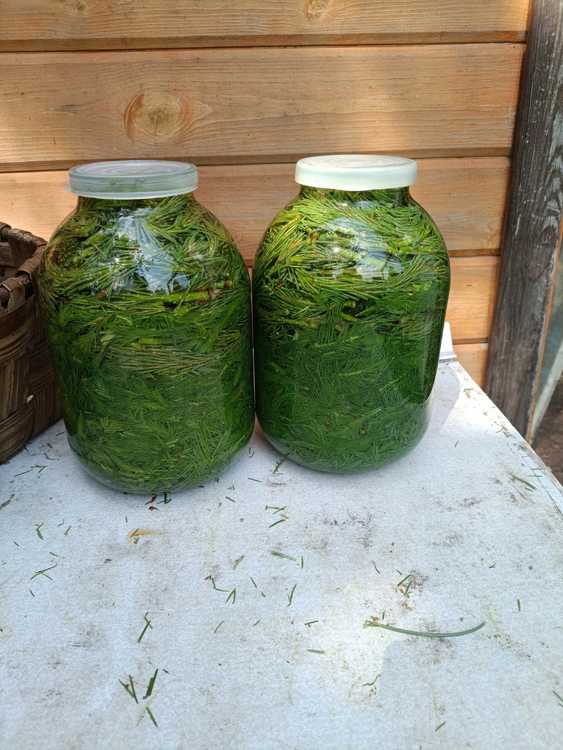 Все готово, в августе можно процедить и разлить по бутылкам.