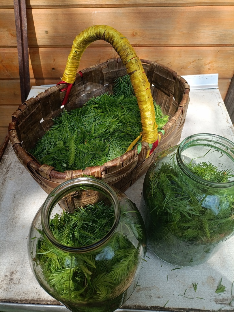 на две банки надо две таких корзинки хвои