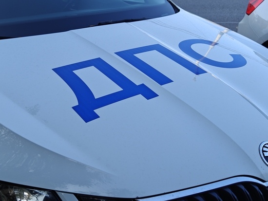    Фото: Юрий Серебренников/BFM Кубань