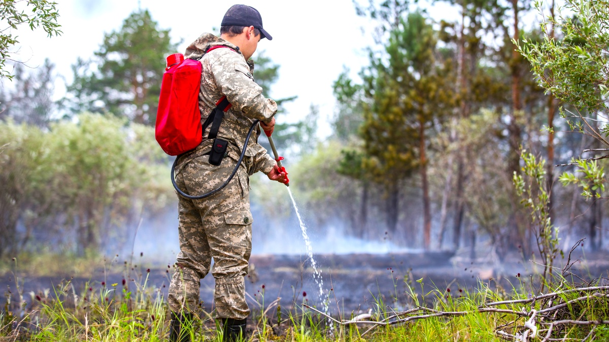    В Югре тушат четыре лесных пожара
