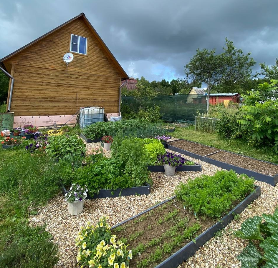 "Французский огород" у меня на даче