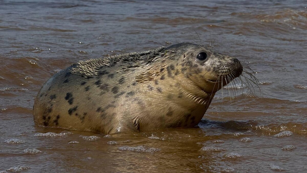    Фото: t.me/VDKSPB