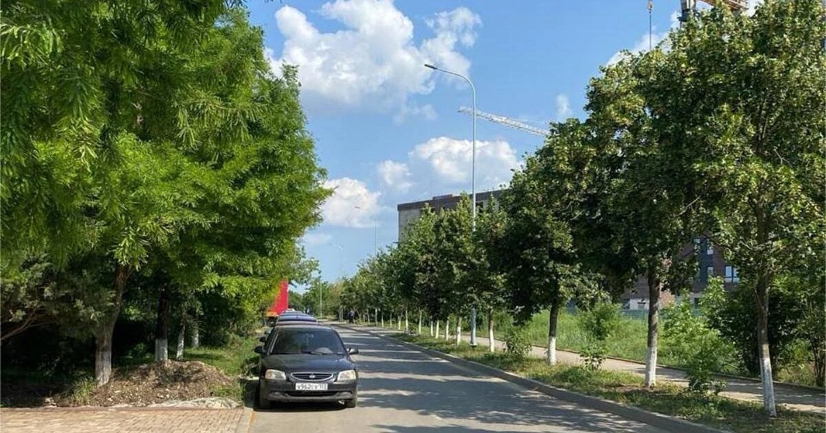 Фото: предоставлено жителями Краснодара