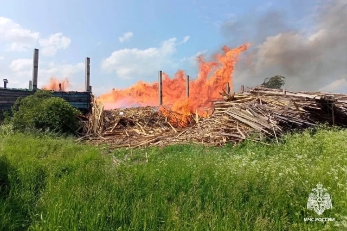    В Калининском округе оштрафовали владельца участка за сжигание мусора