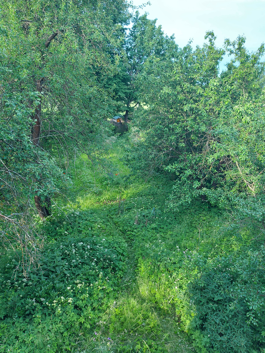 Вид из  окна