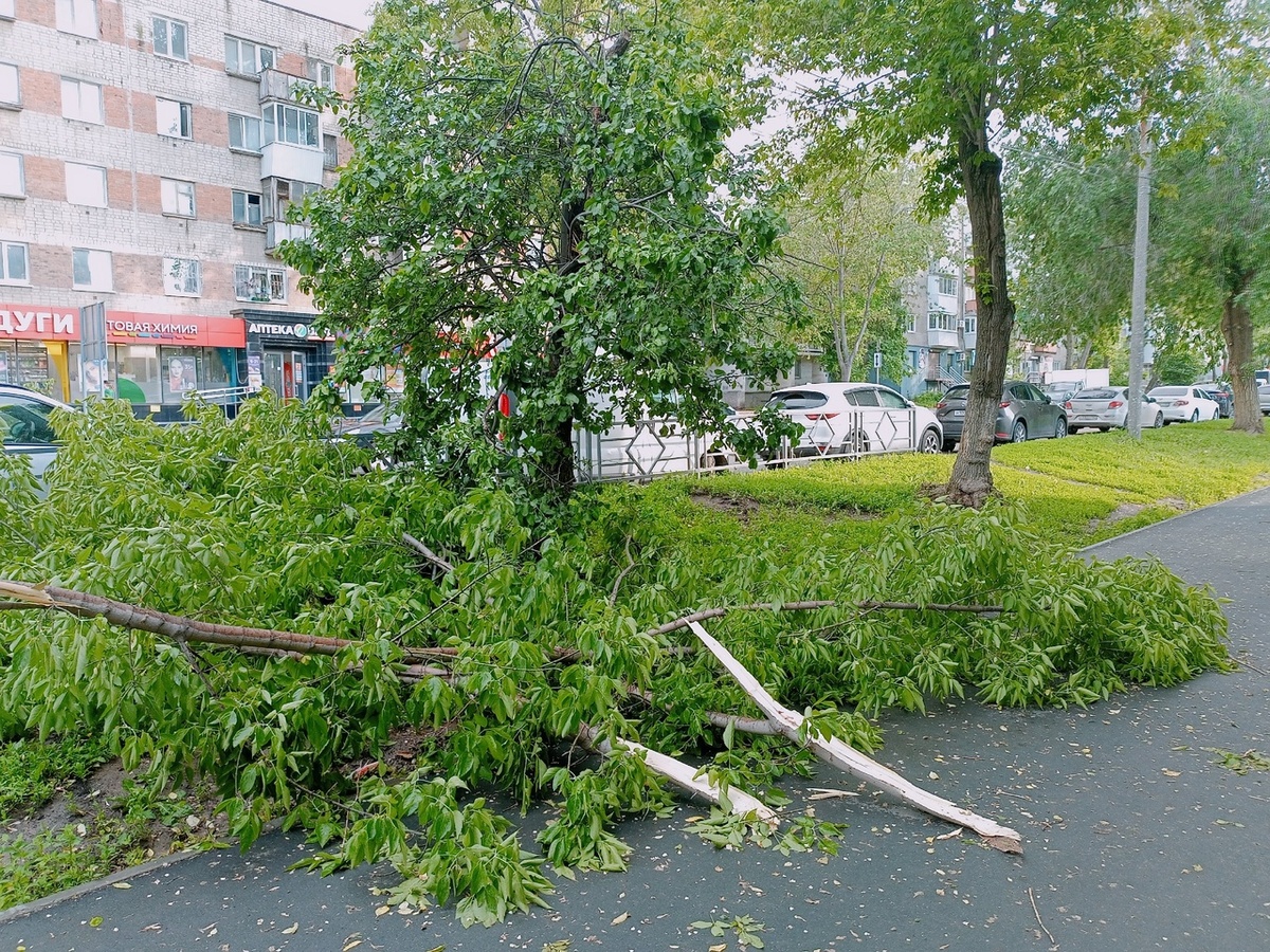    Фото: Марина Куцина