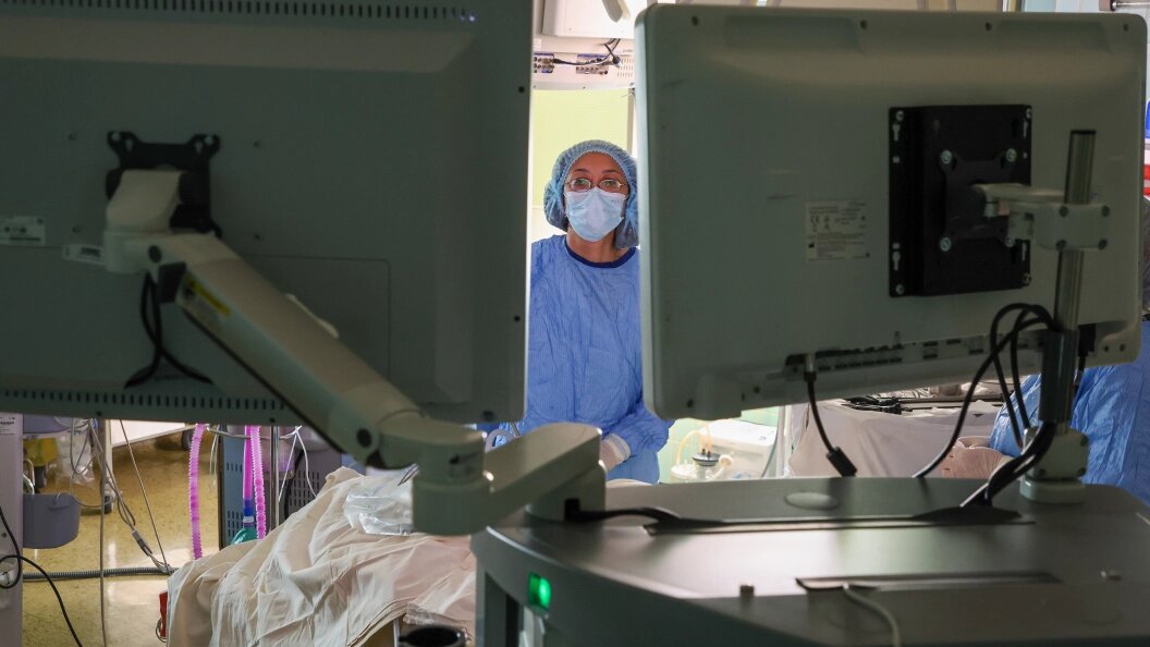    Фото: Belkin Alexey/Globallookpress