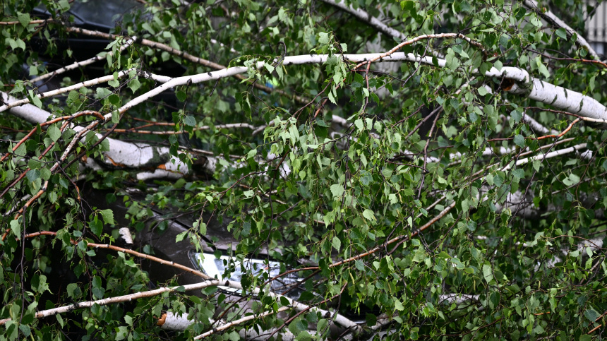    Фото: © РИА Новости/Павел Бедняков; 5-tv.ru