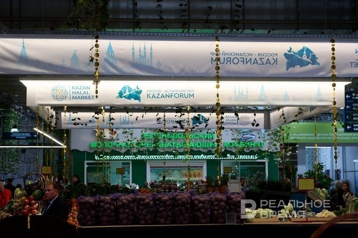 Фото: Динар Фатыхов