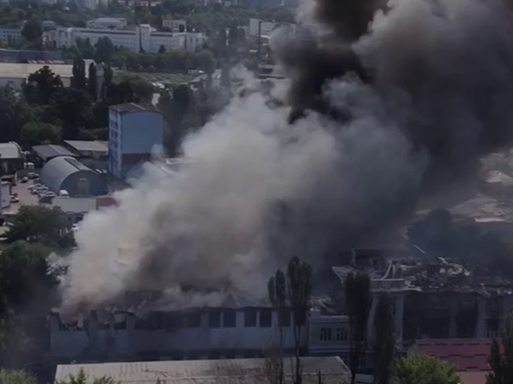 Фото: Соцсети
