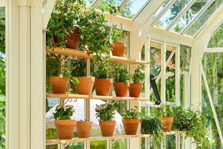 Фото: пресс-служба Департамента культуры города Москвы