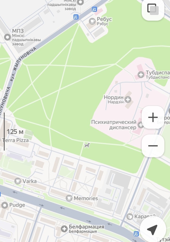 Лесополоса на карте. Скриншот: Яндекс карты 