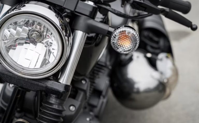    Фото: ru.freepik.com Екатерина Шахнина