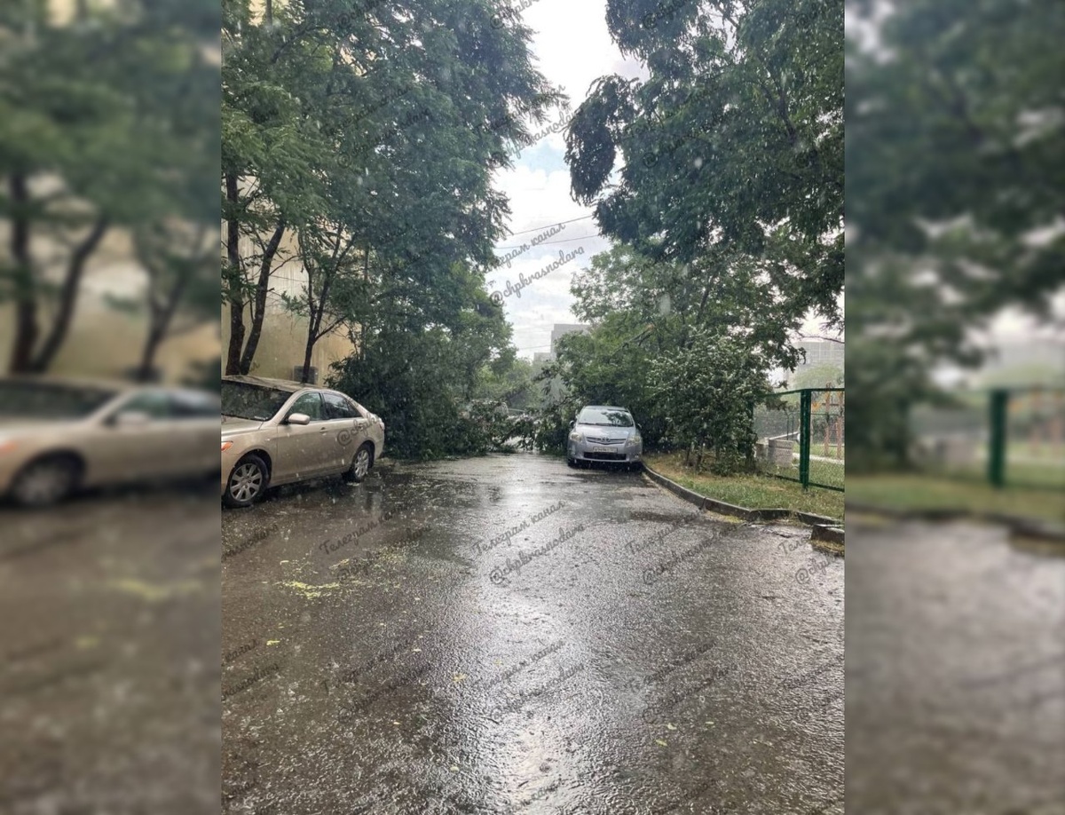    Фото: соцсети