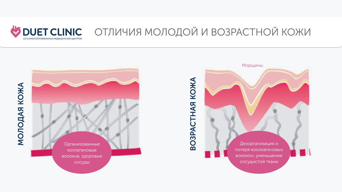Дуэт Клиник