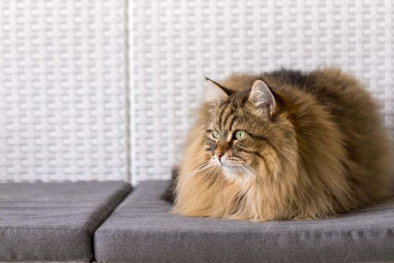 Дуня наслаждается знакомым уютом