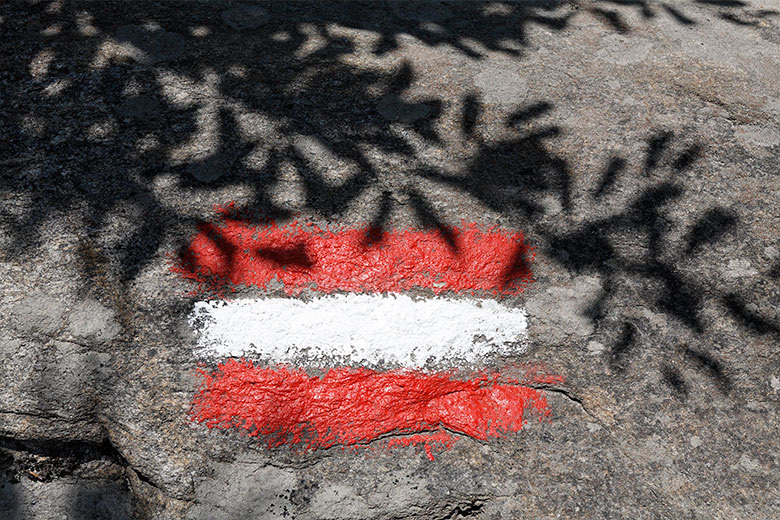    KFS/Global Look Press