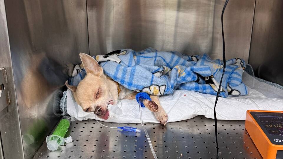 Это были самые долгие 1,5 часа