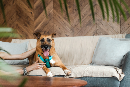 Не уверены, согласится ли Кима слушать Гарри Поттера, но стать чьим-то Патронусом она точно готова.
