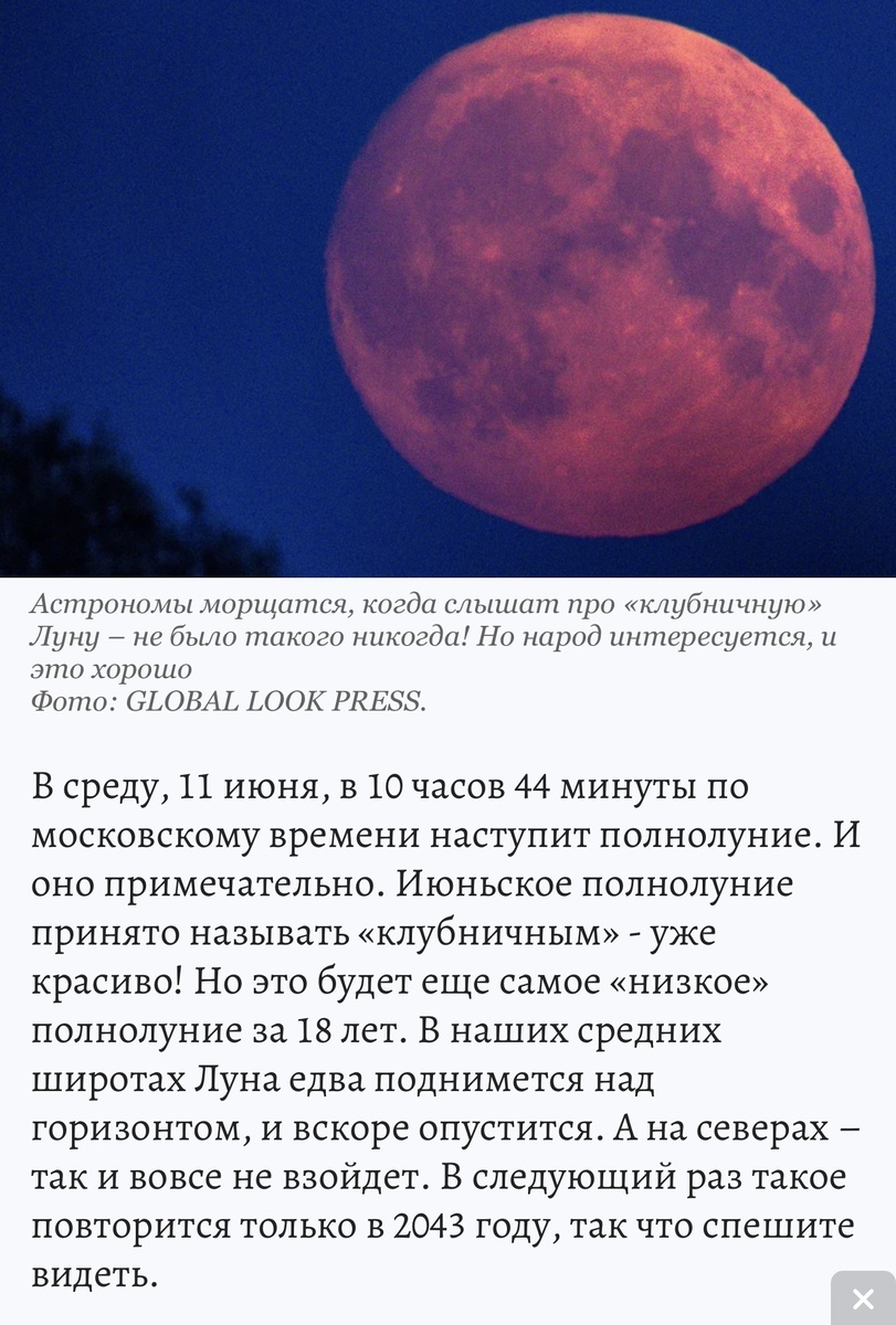 Фото из Google 