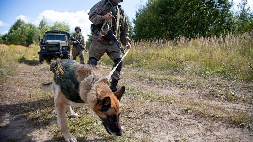    Telegram-канал врио губернатора Курской области